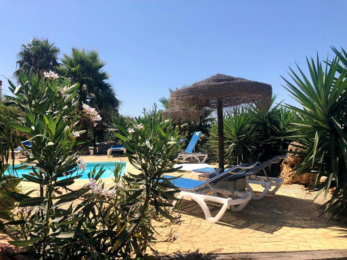 קוניל דה לה פרונטרה Finca Andalucia מראה חיצוני תמונה