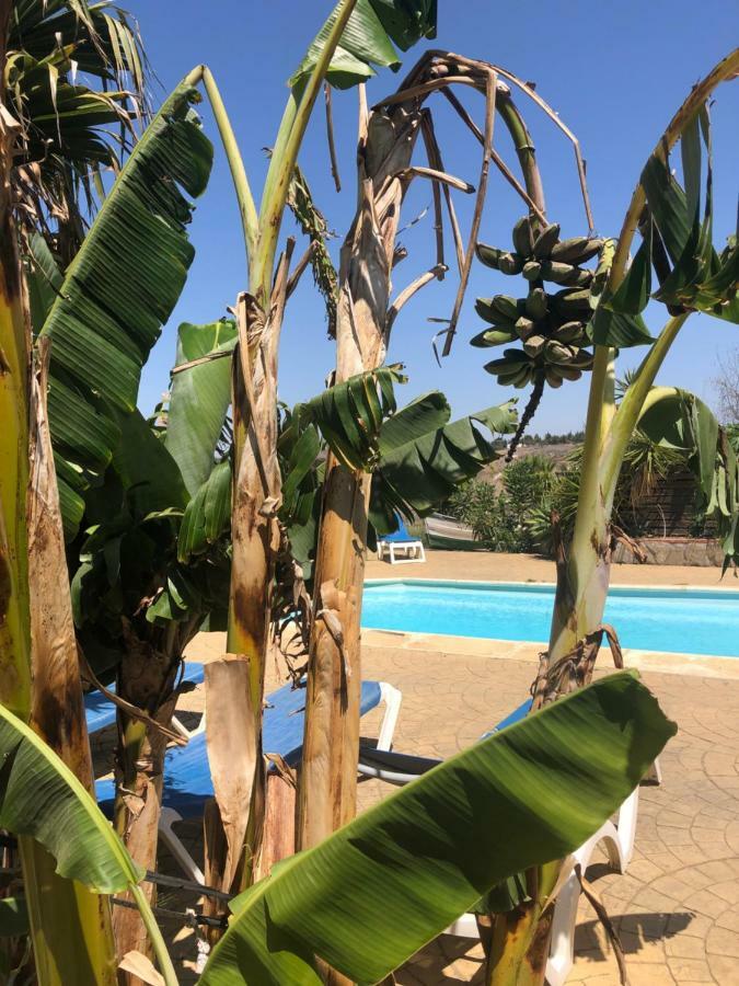קוניל דה לה פרונטרה Finca Andalucia מראה חיצוני תמונה